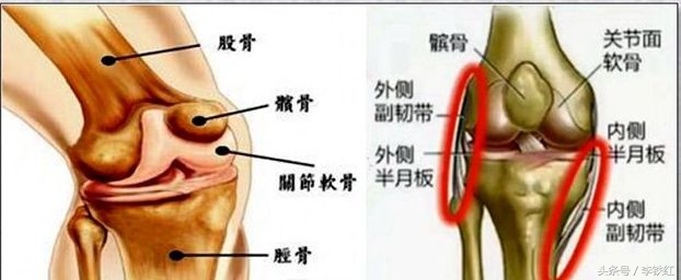 膝关节刺络放血的作用及功效,刺络放血疗法膝盖附近