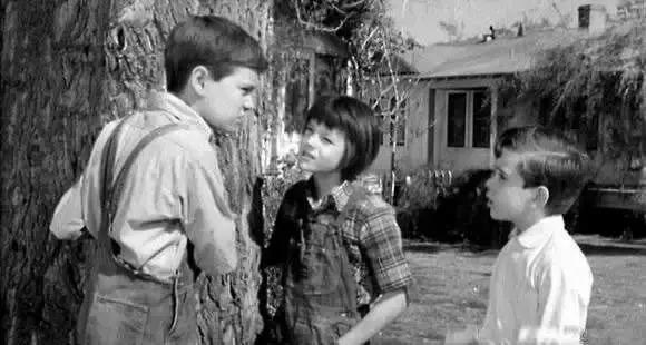 杀死一只知更鸟当你明知道会失败,杀死一只知更鸟在于内心的坚守