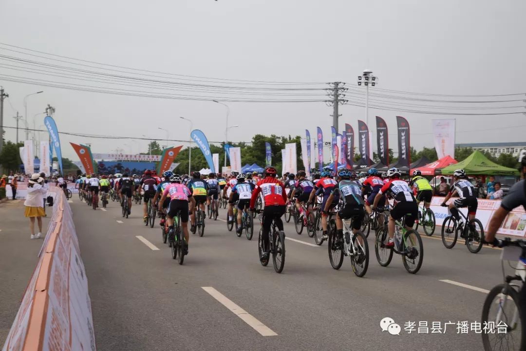 瀛熷畻鏁呴噷瀛濇槍,瀛濇槍姊﹂噷鑺卞洯