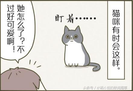 咪咪趣事漫画：为何把爪子伸进去呢？