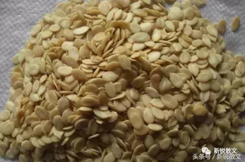 走过夏日的感悟,走过夏日街头