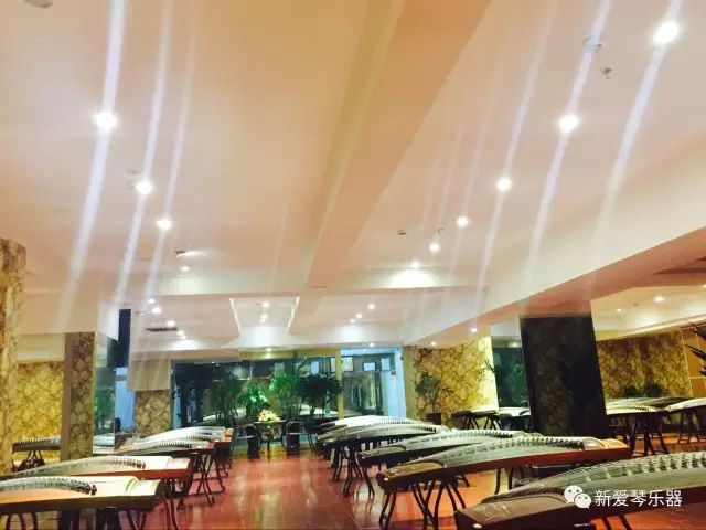 弹筝姿势大全,弹筝的正确手势图