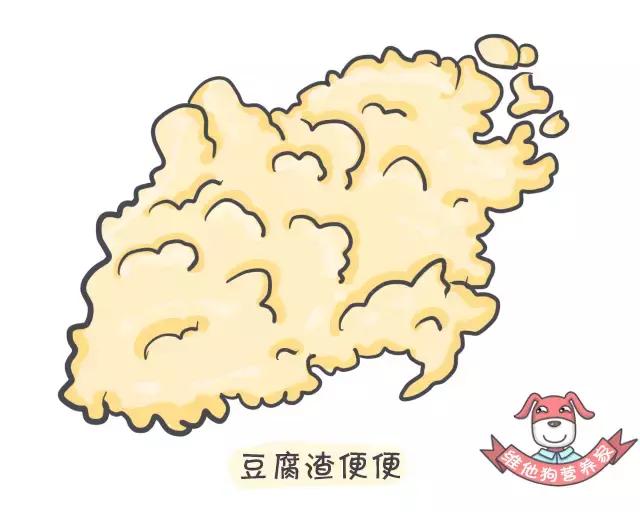 这些肠道知识你知道吗,关于大便这些小知识早知道