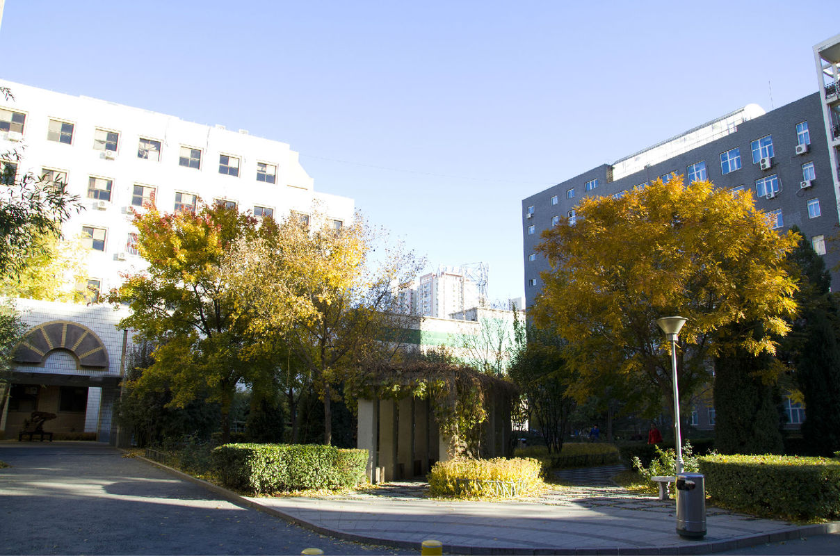 中国矿业大学，在北京和徐州两地办学的211，北京院校实力咋样