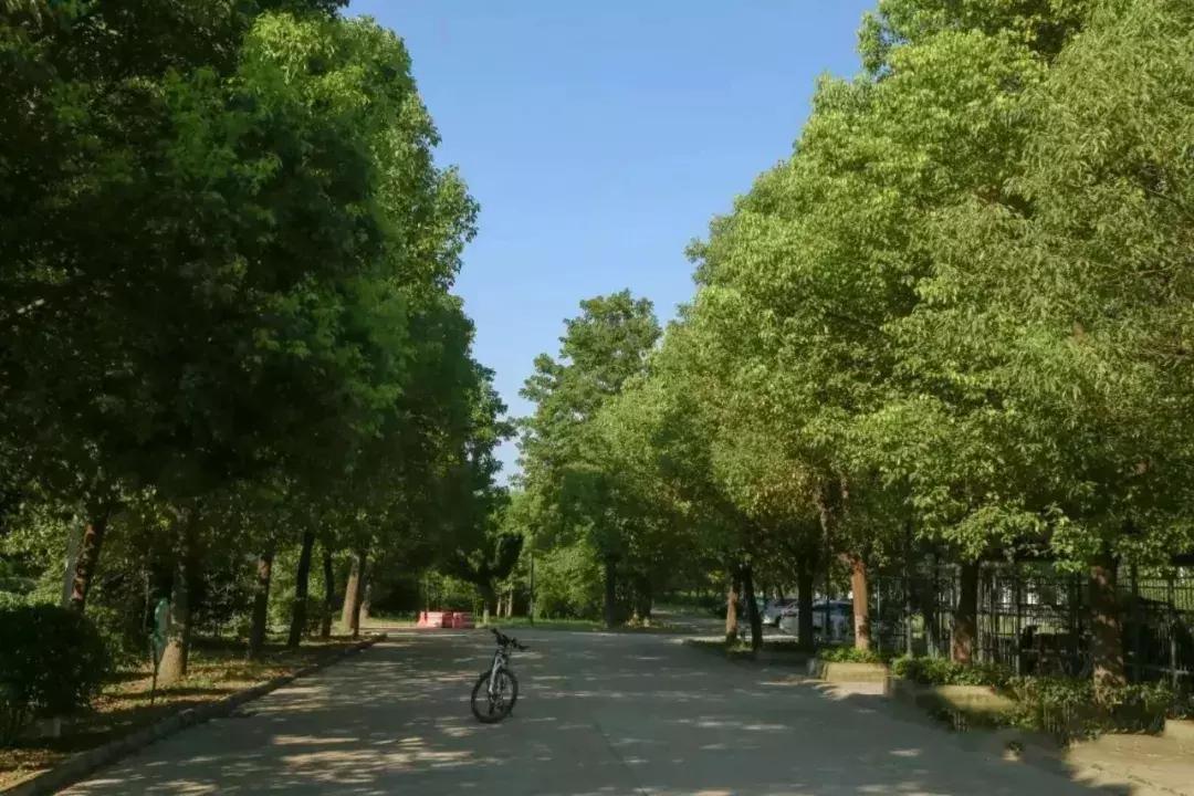 阜阳五中在哪个位置,阜阳五中属于什么档次