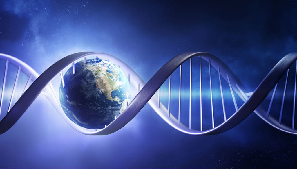 为什么地球上都是碳基生物,只有地球有碳基生命吗