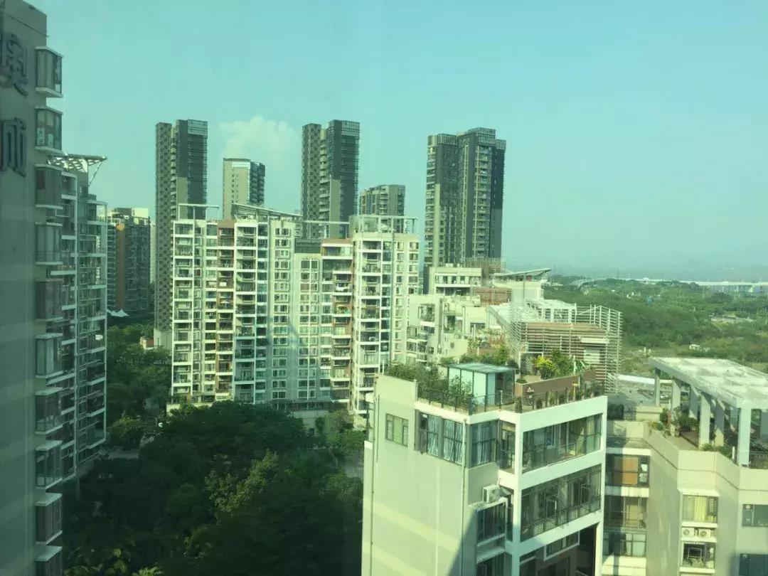 深圳湾最便宜楼盘,深圳湾大面积新盘