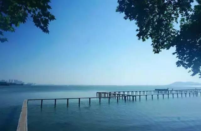 草莓音乐节武汉攻略,草莓音乐节好不好玩