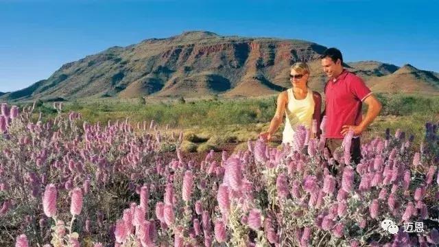 反转地球慢速版,反转地球现场