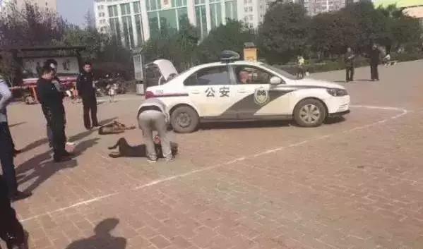 如果孩子被狗追咬该怎么办,小孩被家狗咬了几天才知道怎么办