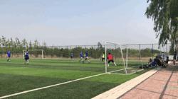 紫禁之巅1-40集完整版原声,紫禁之巅2019完整版