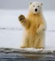 外国人怎么取英语名字的,外国人如何取中文名