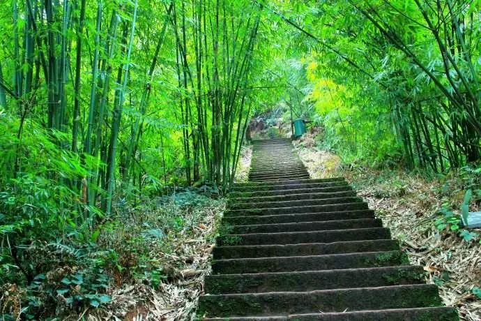 夏天避暑和旅游最好的城市,夏天避暑旅游必去的地方