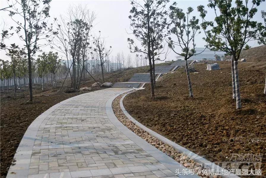 合肥招商雍华府170平洋房户型,合肥省府雍华府