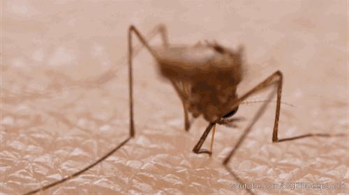 家里有孩子的要关注什么新型病毒,小朋友有必要了解病毒么