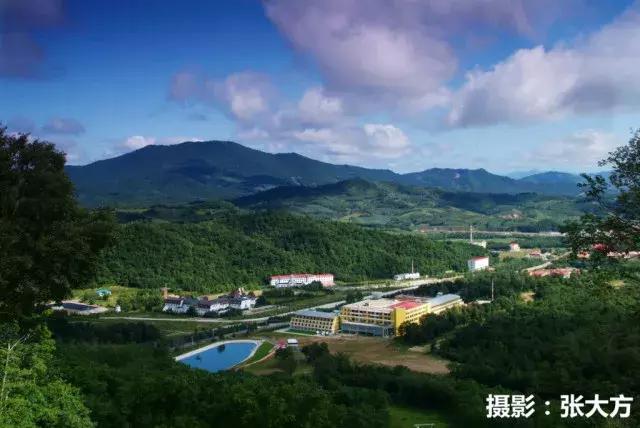 迷人的哈尔滨之夏万达实景,迷人的哈尔滨之夏