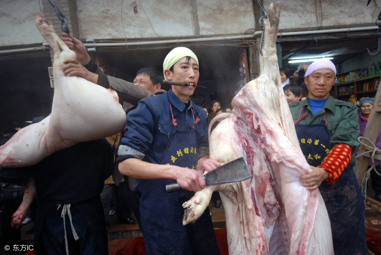 中国股市的血泪教训,中国股市血泪教训全集