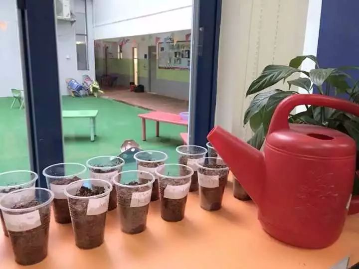 恺摩择校④｜一所城市里的绿洲学校，福田最火的国际学校，等两三年都未必有学位的学校！