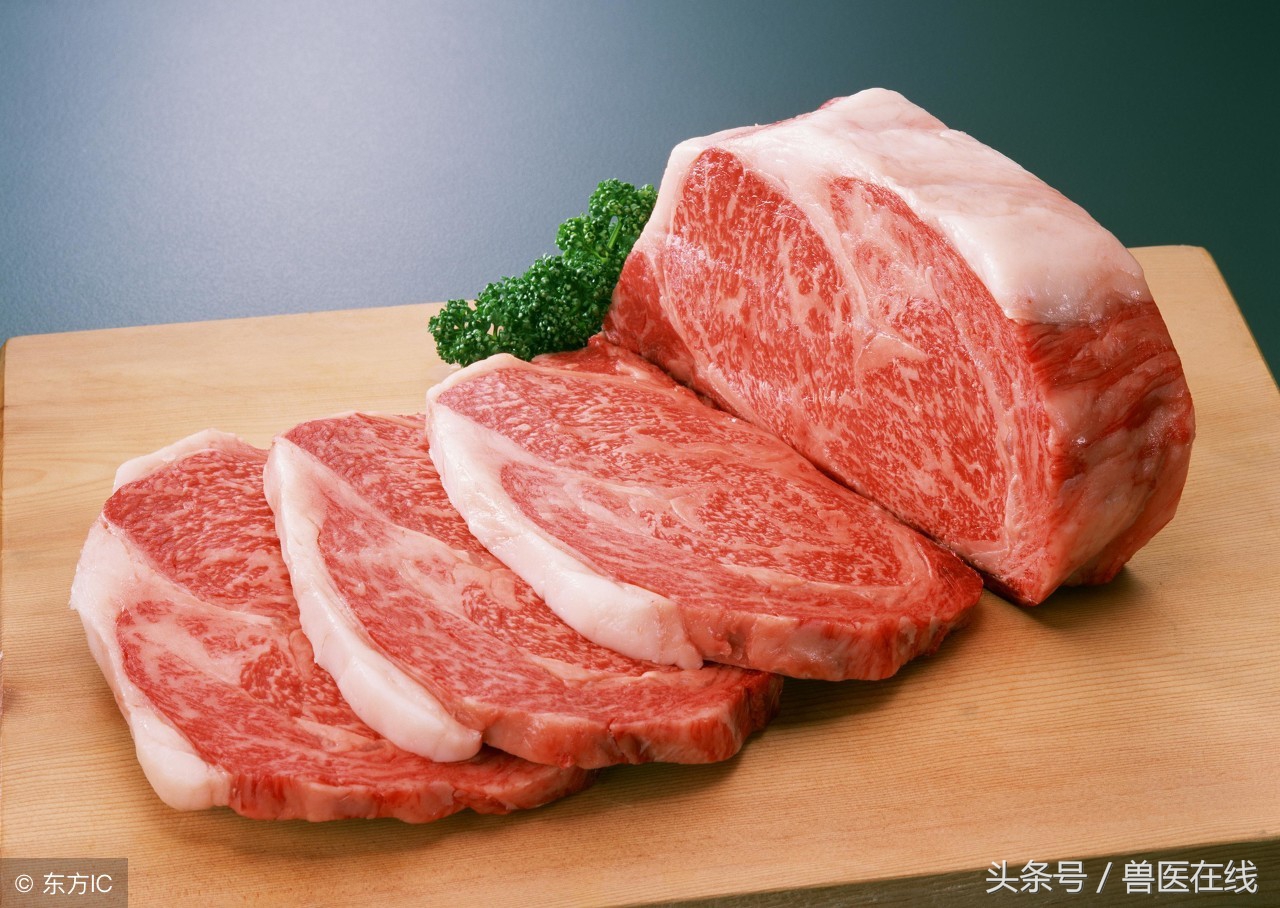 养羊未来十年前景如何,现在养羊什么前景最好