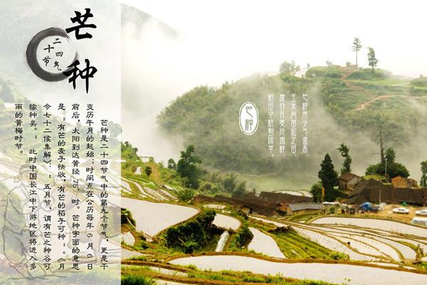 芒种晴天起大风,芒种刮东北风