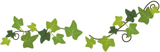 早产儿呼吸道合胞病毒,早产儿cmv感染