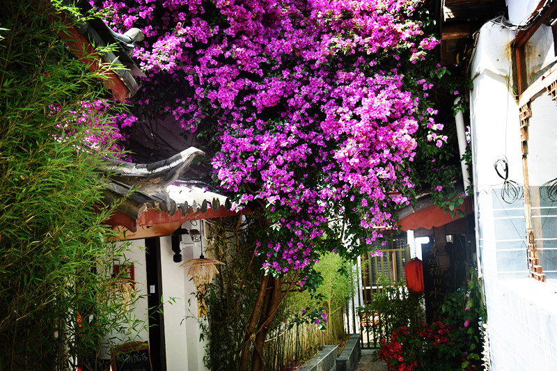 丽江到底美不美,丽江到底有几个古镇