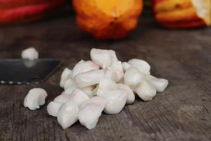 巧克力是怎么发明的视频,科普巧克力是怎么诞生的纪录片