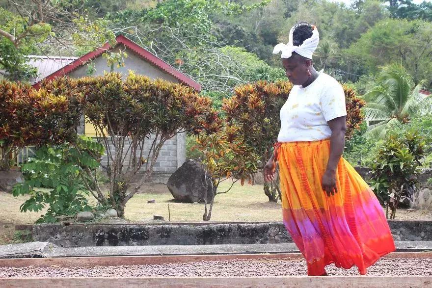 巧克力是怎么发明的视频,科普巧克力是怎么诞生的纪录片