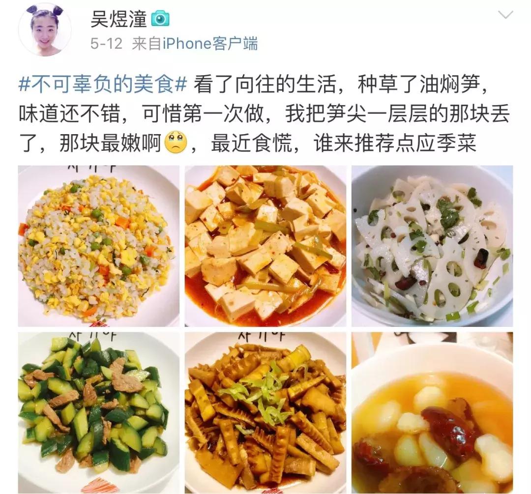 看向往的生活能学会什么,看向往的生活后的感想