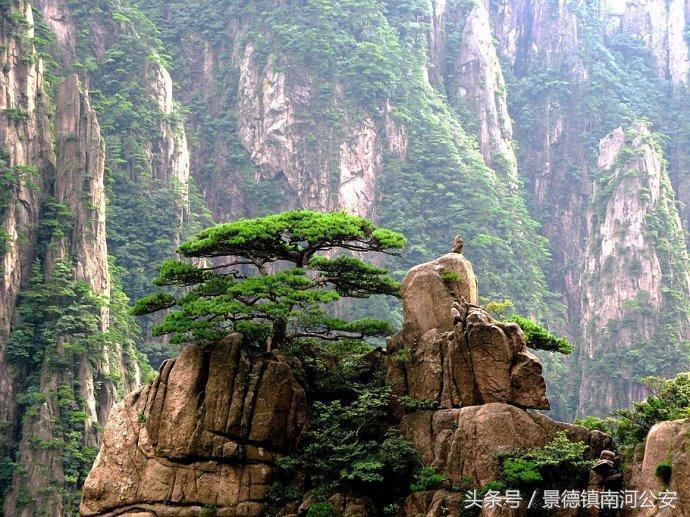 游记｜雾中黄山做梦都想去的人间仙境