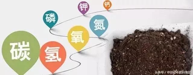 为什么果园要土壤改良,果园改良种植技术