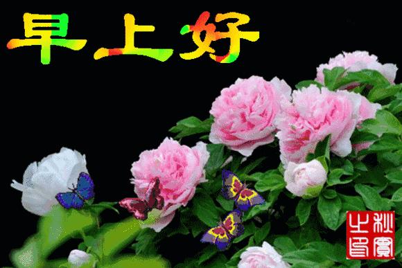 早上好微信问候动态图片大全,最新版早上问候动态表情图片大全