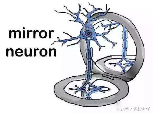 人格分裂是什么原因导致的,人格分裂什么原因导致