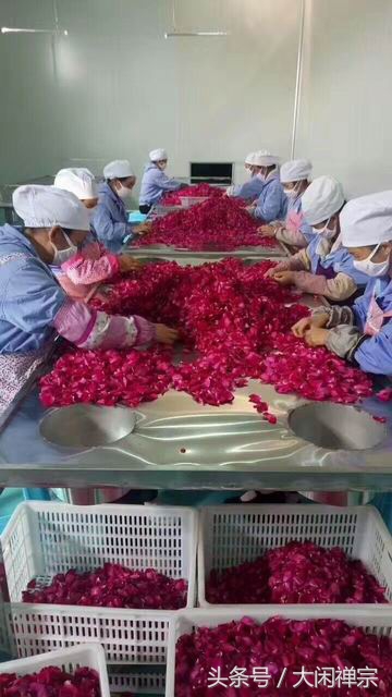 云南a级玫瑰花茶,云南大理顶级冻干墨红玫瑰