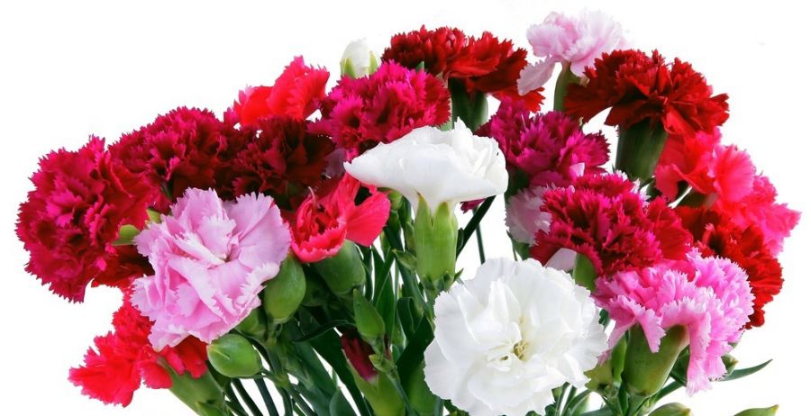 出国自由行关注事项,为了出国旅游而出国