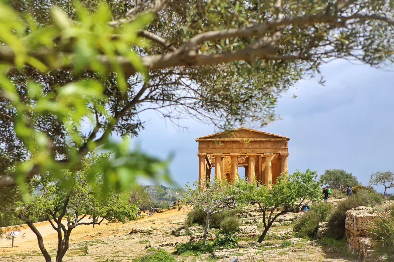 西西里的美丽传说西西里在哪里,意大利西西里旅游攻略