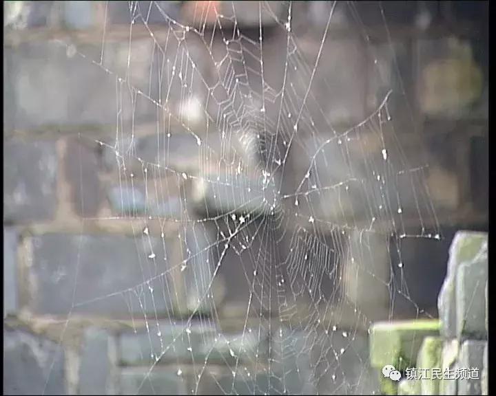 *兽禽**不如！镇江43岁男子强奸12岁女孩，还是自己女儿的同学！
