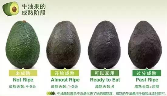 牛油果一个卖多少,牛油果骇人听闻的真相