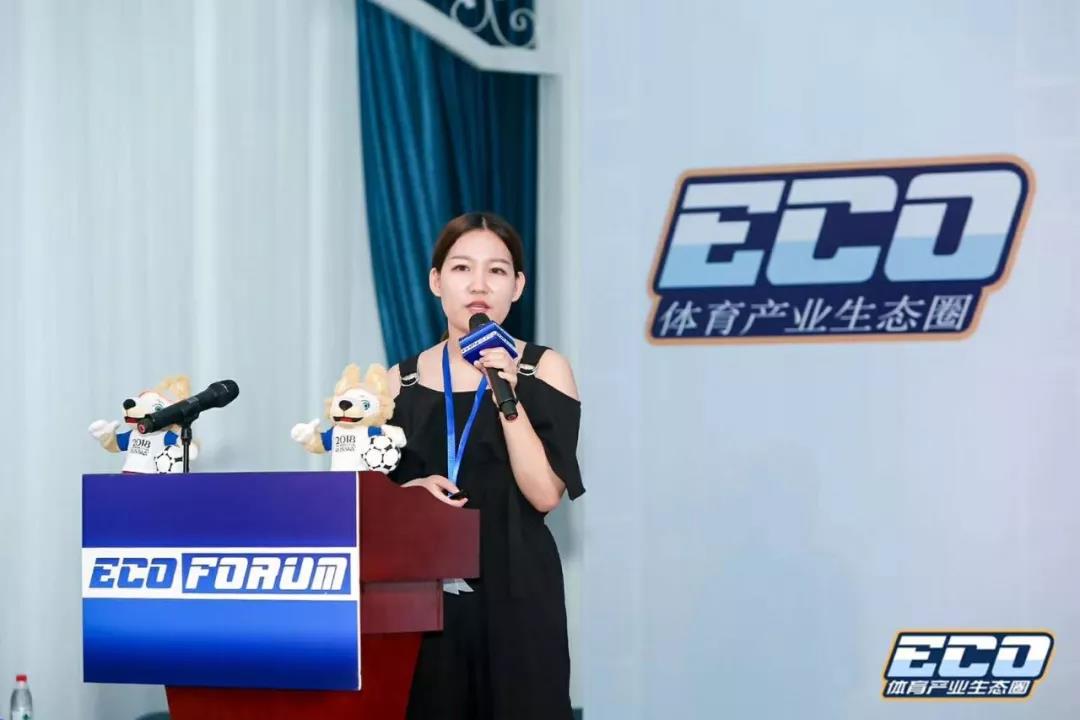 一只吉祥物,世界杯吉祥物杭州造