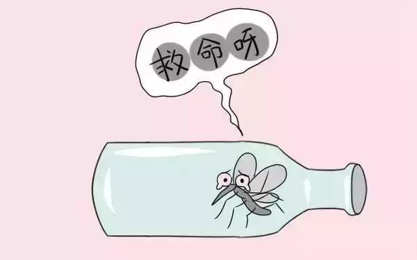 洗衣液对蚊子有效吗,洗衣液可以驱蚊子吗