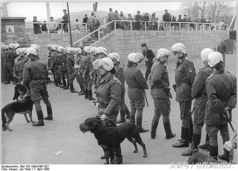 足球流氓代表什么,足球流氓又叫什么