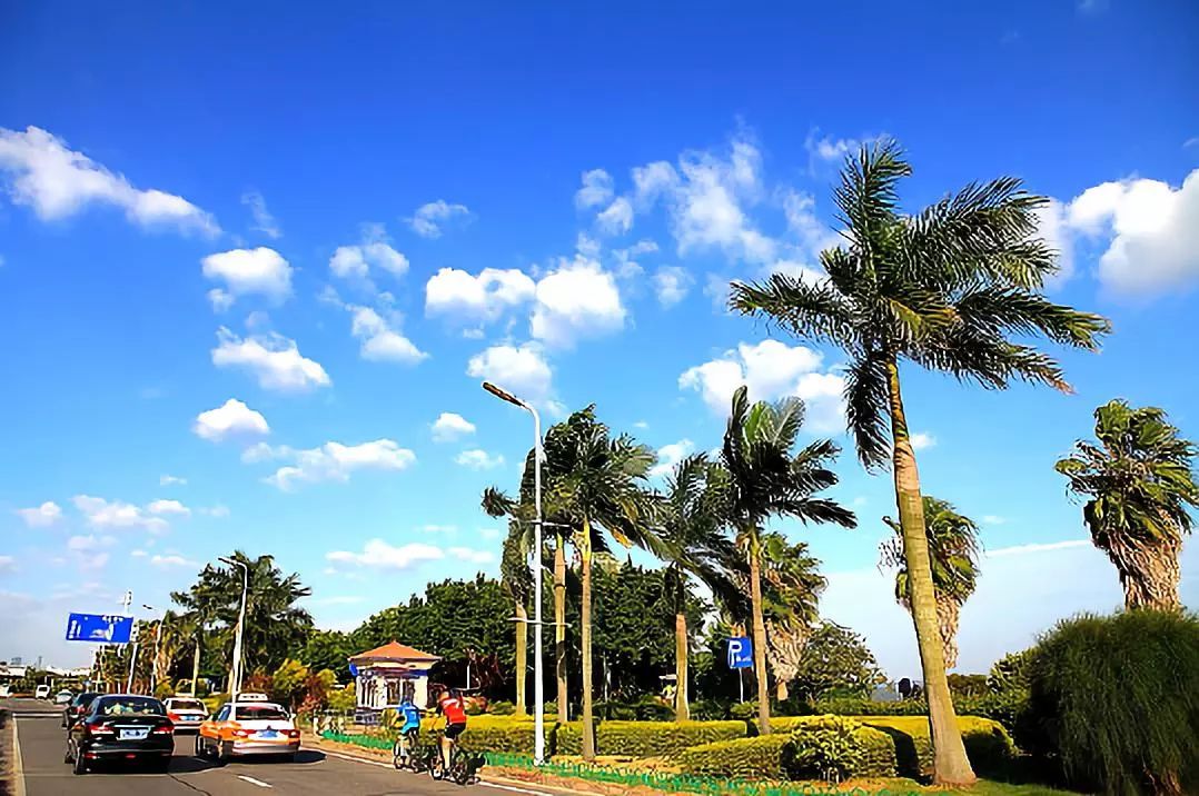 这个夏天我们再邂逅一次厦门吧,这个夏天想跟你再去一次厦门