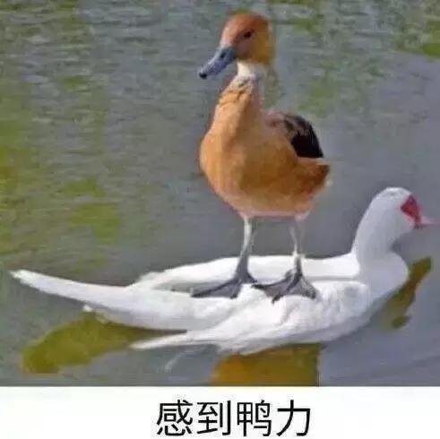 真贵妇界公认最值得买的一款面霜,日本贵妇面霜哪个牌子好用