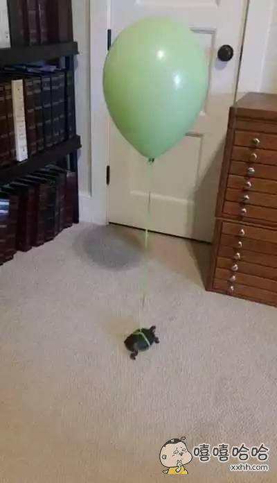 尿急的你就是这样的2018-06-12