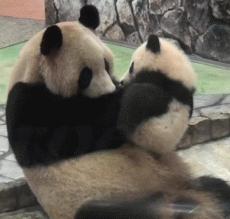 尿急的你就是这样的2018-06-12