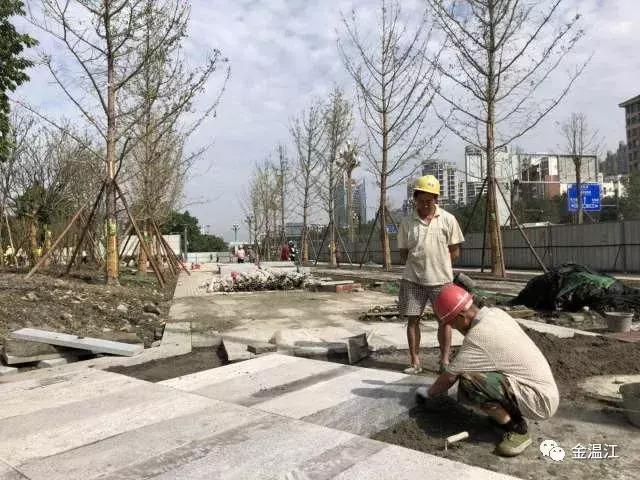 成蒲快铁站点位置图,成蒲快铁南线