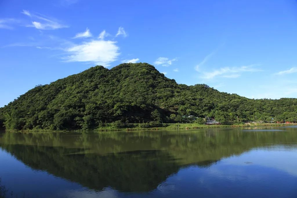 武汉蔡店农中琐忆