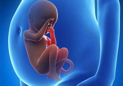 孕妈要知道的事情——怎么预防胎儿脑积水？