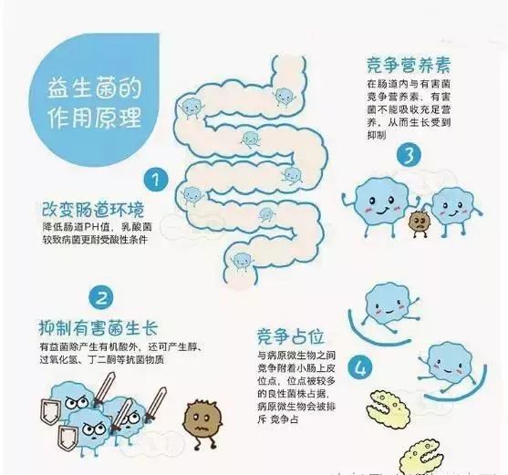「合理用药」关于益生菌，你还不知道的4大真相！