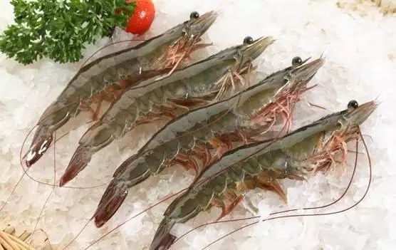 泥鳅恩诺沙星超标三倍罚款多少,泥鳅中恩诺沙星超标怎么处理